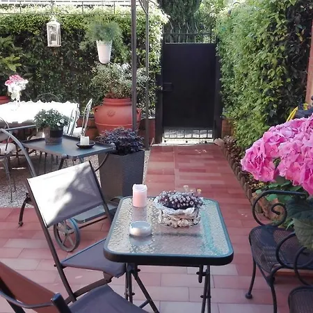 Fiori E Lanterne Rom