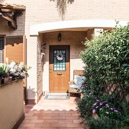 Fiori E Lanterne